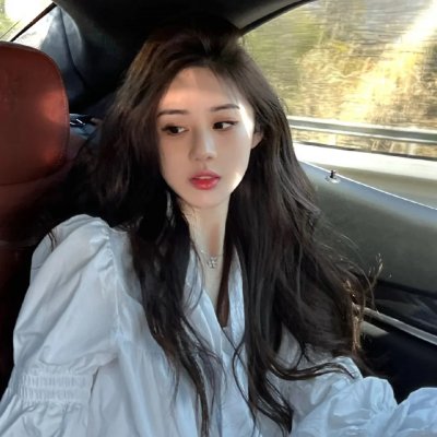 圣诞狗狗救援